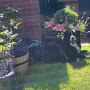Whitley Bay Tyne & Wear, North East England, UK