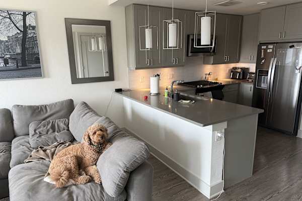 Austin, Texas, United States