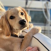 Cranbrook, East of England, UK