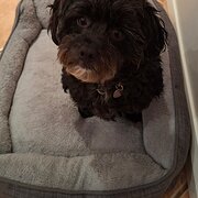 Stirling, Western Australia, Australia