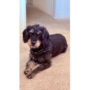 Mawson Lakes, South Australia, Australia