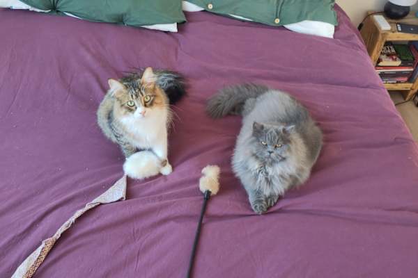 Berlin, Berlin, Germany