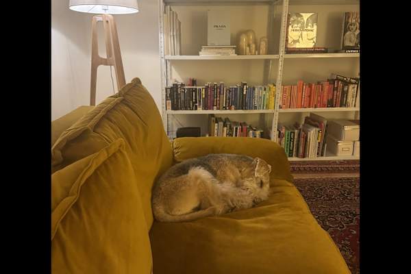 Zürich, Zurich, Switzerland