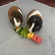 Bunbury, Western Australia, Australia