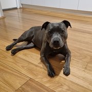 Ellenbrook, Western Australia, Australia