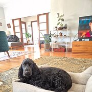 Coburg North, Victoria, Australia