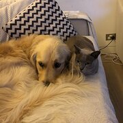 Rose Bay, New South Wales, Australia