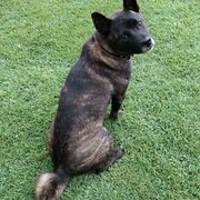 South Grafton, New South Wales, Australia