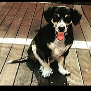 Joondalup, Western Australia, Australia