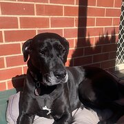 Littlehampton, South Australia, Australia