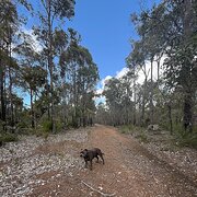 Argyle, Western Australia, Australia