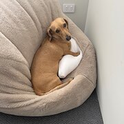 Eglinton, Western Australia, Australia