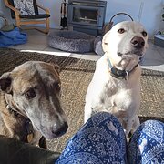 Bullsbrook, Western Australia, Australia