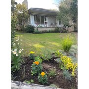 Belmont, Victoria, Australia