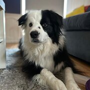 Scarborough, Western Australia, Australia