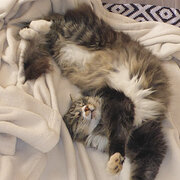 Broken Hill, New South Wales, Australia