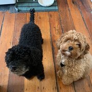 Perth, Western Australia, Australia