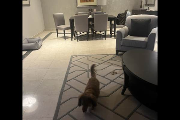 Dubai, Dubai, United Arab Emirates