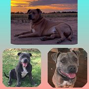 Yallaroi, New South Wales, Australia