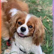 Umina Beach, New South Wales, Australia