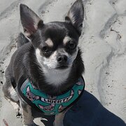 Gungahlin, Australian Capital Territory, Australia