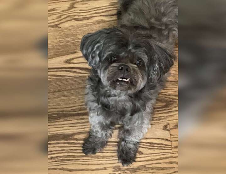 Collingwood, Ontario, Canada