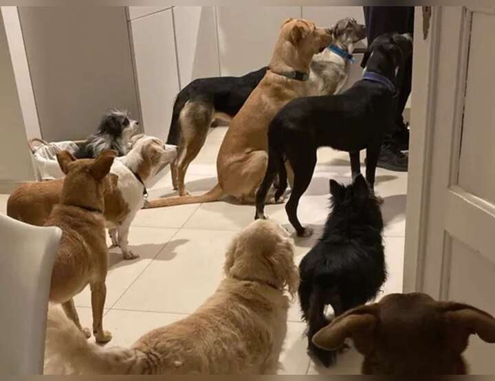 Bochini, Sicilia, Italy