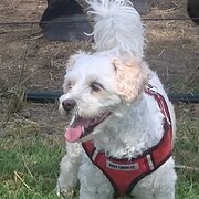 Bargara, Queensland, Australia