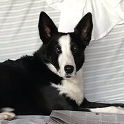 Golden Square, Victoria, Australia