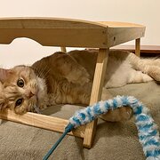 St Kilda East, Victoria, Australia