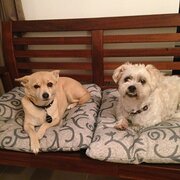 Melville, Western Australia, Australia