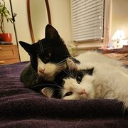 Brunswick, Victoria, Australia