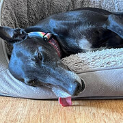 Pinjarra, Western Australia, Australia