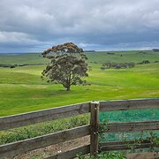 Muntham, Victoria, Australia