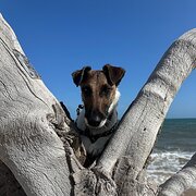 Somers, Victoria, Australia