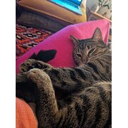 St Kilda East, Victoria, Australia