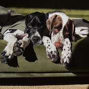 Kew, Victoria, Australia