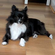 Tranmere, South Australia, Australia