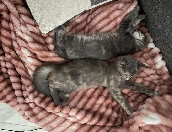 Essaouira, Marrakesh-Safi, Morocco