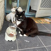 Blackmans Bay, Tasmania, Australia