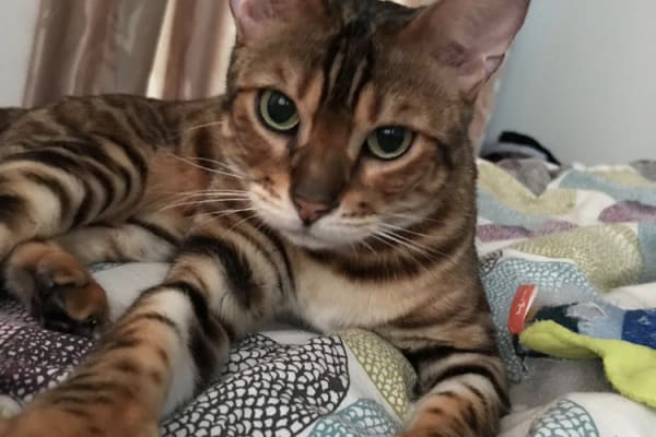 Singapore, Central Singapore, Singapore