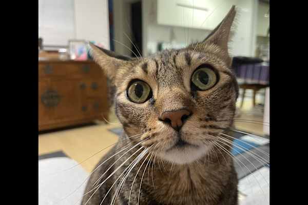 Seoul, Seoul, South Korea