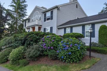 Bellevue,Washington,United States