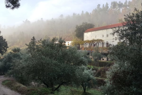 Sertã,Castelo Branco,Portugal