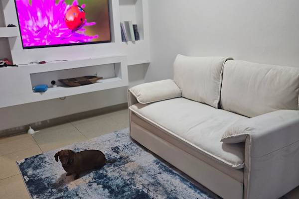 San Juan, San Juan, Puerto Rico