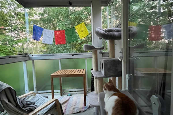 Helsinki, Uusimaa, Finland