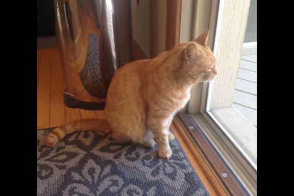 Clarkston, Michigan, United States