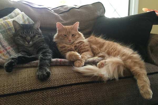 Ann Arbor, Michigan, United States