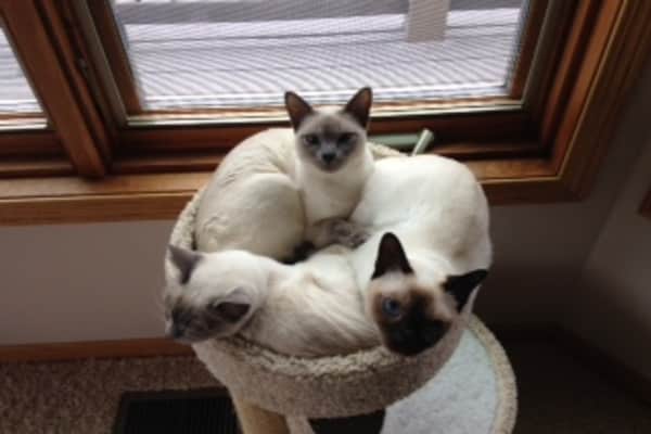 Keystone, South Dakota, United States