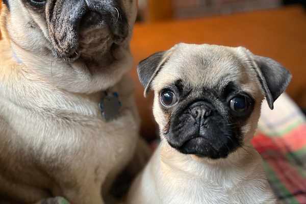 Minneapolis, Minnesota, United States